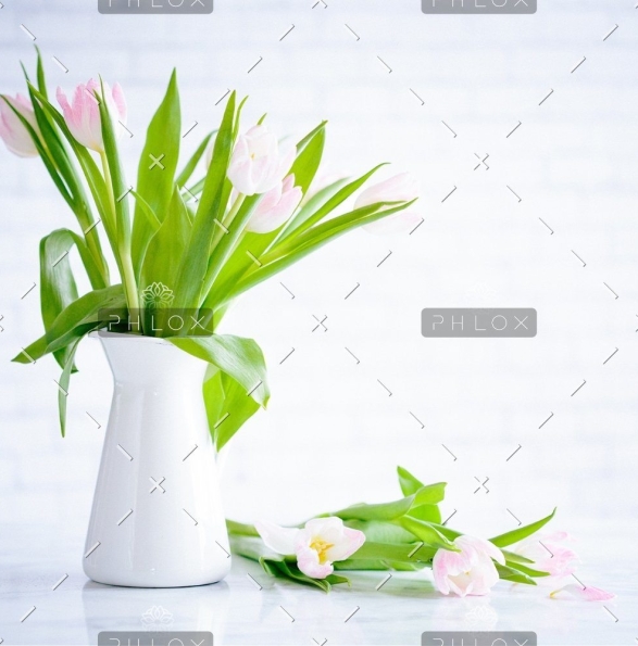 demo-attachment-783-brooke-lark-210780@2x